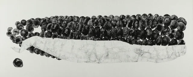 4,specise,種,(재료)먹 charcoal on paper.70x150cm.JPG