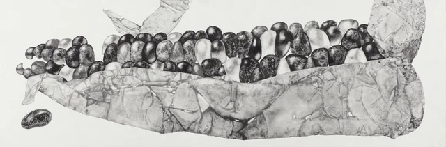 4,specise,種,(재료)먹_charcoal_on_paper.30x120cm[1].JPG