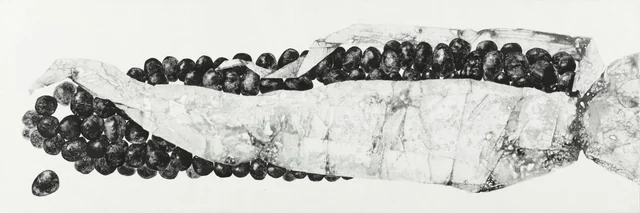 1,specise,種,(재료)먹 charcoal on paper.30x120cm2012년.JPG