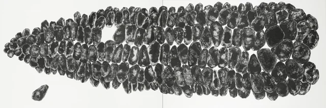 4,specise,種,(재료)먹 charcoal on paper.120x180x2cm.jpg