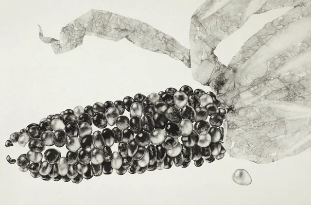 4,specise,種,(재료)먹 charcoal on paper.120x180cm (2).JPG