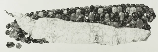 4,specise,種,(재료)먹 charcoal on paper. 30x120cm.JPG