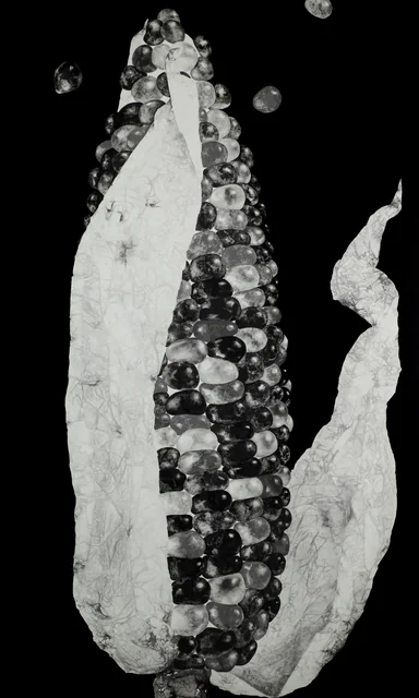 4,specise,種,(재료)먹 charcoal on paper.120x180cm (10).JPG